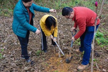  Moutai Institute honors the 40th National Tree Plantation Day