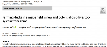 Moutai Institute Published a High-level Research Paper in the International Journal Agronomy for Sus